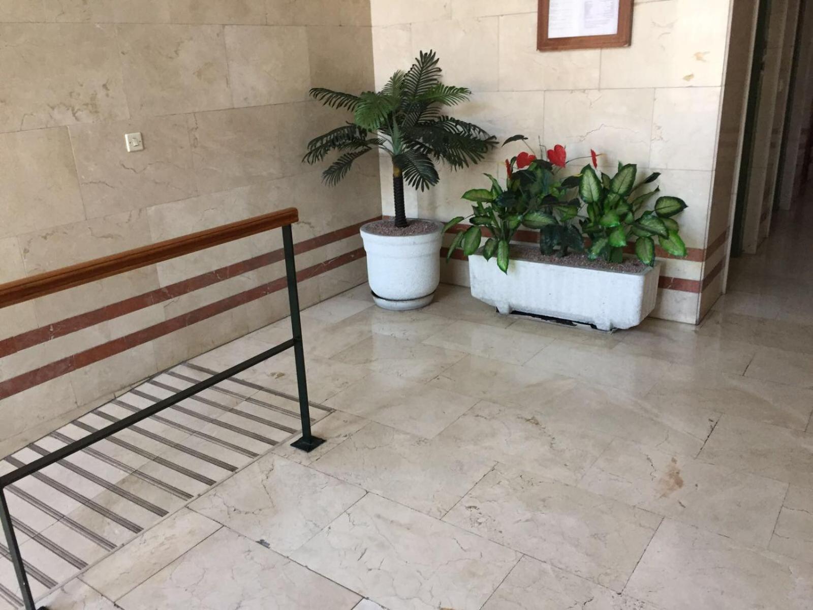 Alicante Postiguet Studios Екстериор снимка